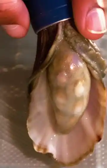 How To Use A Condom 1