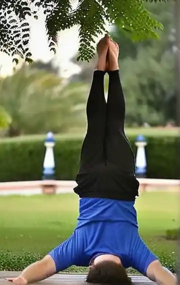 Belly Up 1