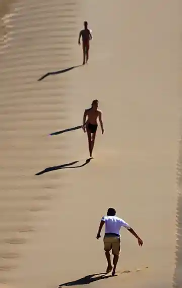 Dont Be Stupid