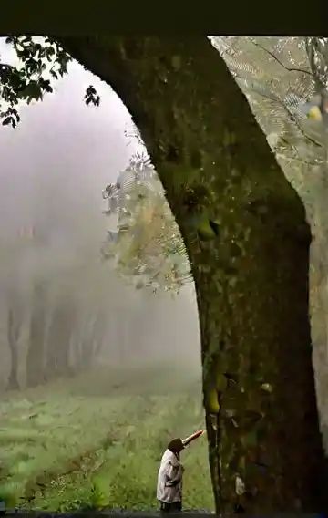 Escaping Her Past