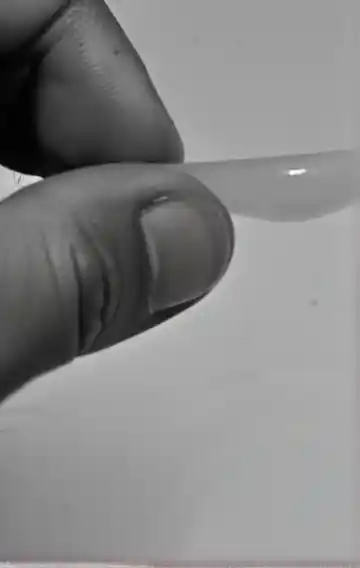 Aaal Most Anal