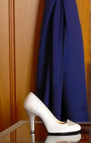 Cat Toy