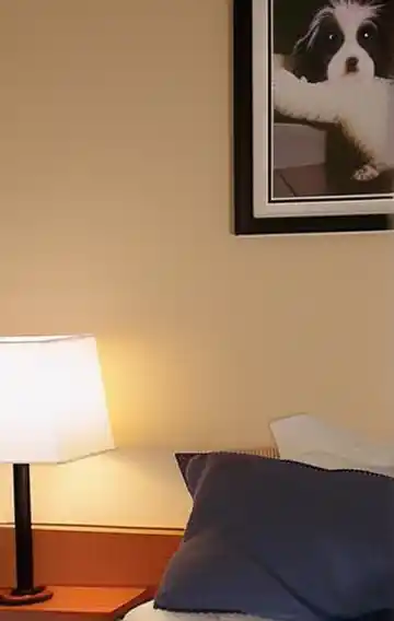 Ch 4 Two Broke Tits