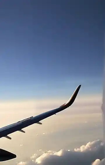 Two Wonders