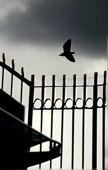 Dangling 1