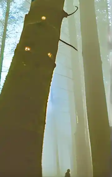 Penetration 9